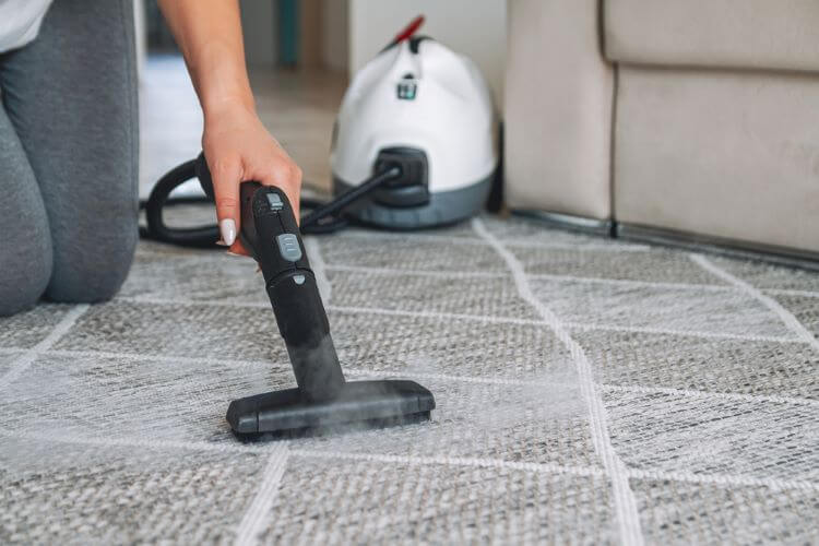 تمیز کردن فرش با بخارشوی
